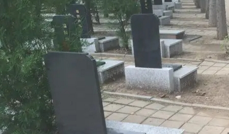 1654829336444001.png 下载 (3).png