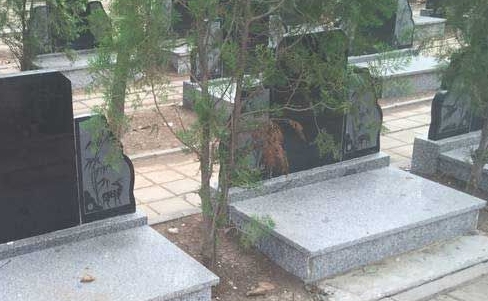 1654829531620432.png 下载 (9).png