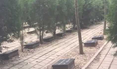 1655004776630028.png 下载.png