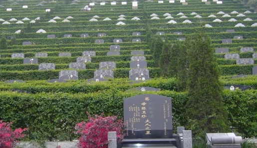 1655004928242699.png 下载 (3).png
