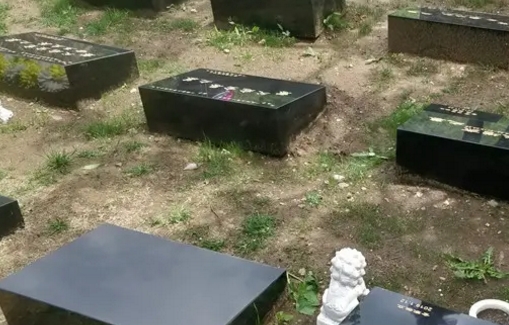 1655350936117438.png 下载 (9).png