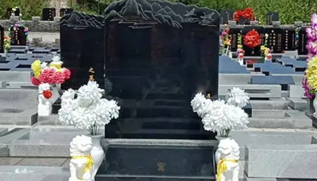 1655446111119925.png 下载.png