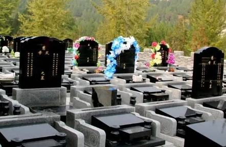 1655446161104007.png 下载 (1).png