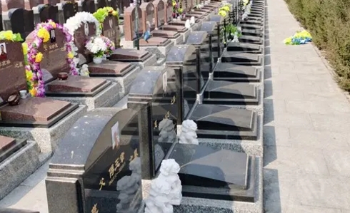 1655532266580972.png 下载.png