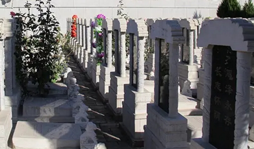 1655609782515994.png 下载 (2).png