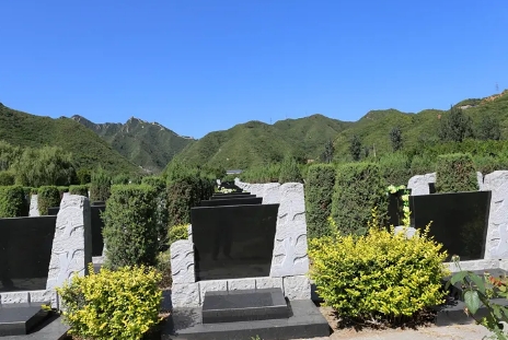 1655967811734982.png 下载 (4).png