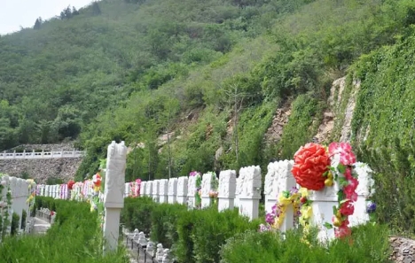 1655967865138372.png 下载 (5).png