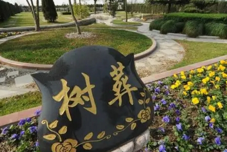 1656136872510486.png 下载 (3).png