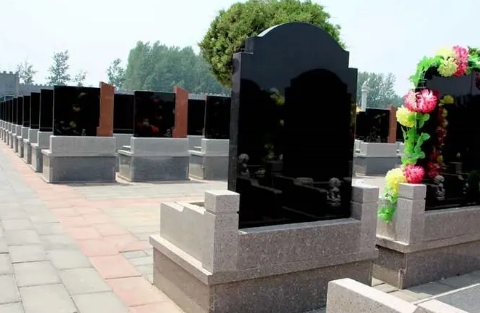 1656136890879483.png 下载 (4).png