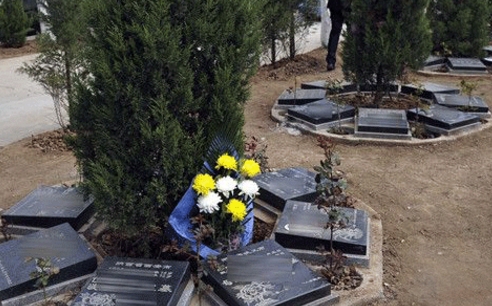 1656137031735843.png 下载 (8).png