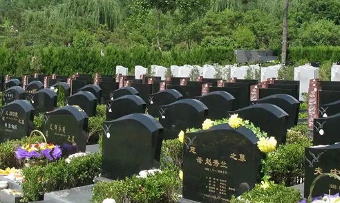 1656235463918685.png 下载 (3).png
