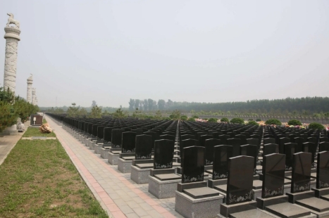 1656235581222130.png 下载 (5).png