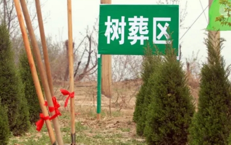 1656235800102557.png 下载 (8).png