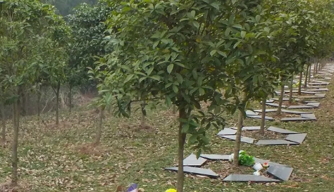 1656295284905345.png 下载 (3).png