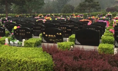 1656295315247475.png 下载 (4).png