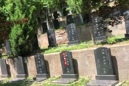 1656560308684635.png 下载 (7).png