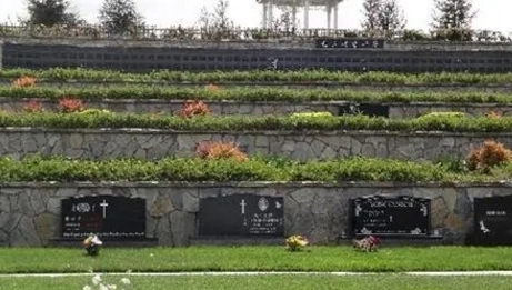 下载 (9).png