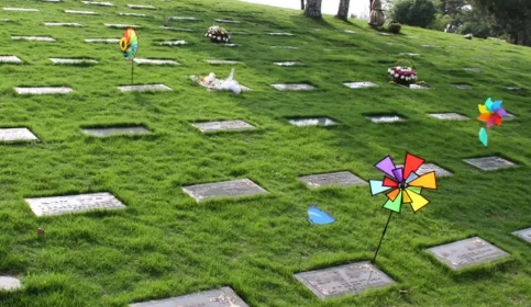 1656727620693328.png 下载.png
