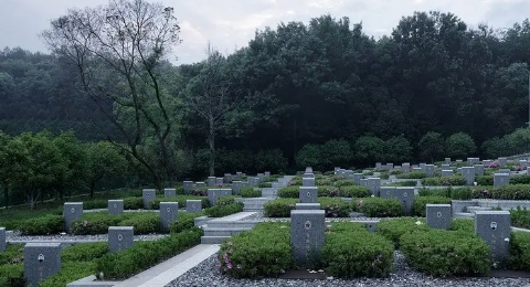 1656727646158959.png 下载 (1).png