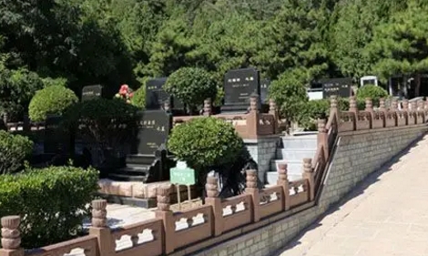1656831135684721.png 下载 (9).png