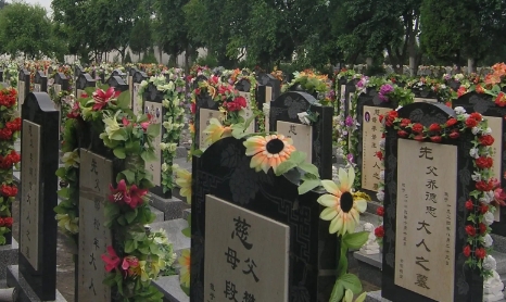 1656916728423863.png 下载 (2).png