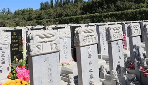 1656991259109038.png 下载.png