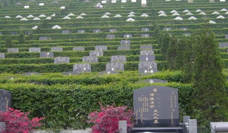 1657077797846090.png 下载 (1).png