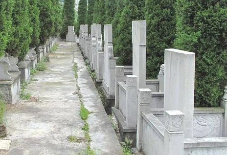 1657077876185639.png 下载 (4).png