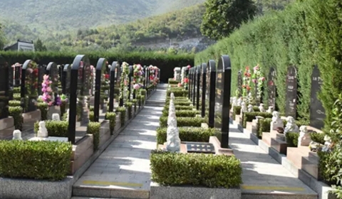 1657078012108646.png 下载 (8).png