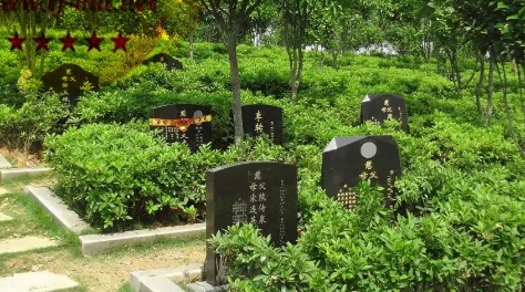 1657422631122210.png 下载 (6).png
