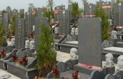 1657422661209091.png 下载 (7).png