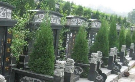 1657510266554249.png 下载 (1).png
