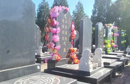 1657510409178840.png 下载 (7).png