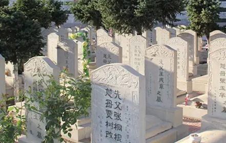 1657680872247518.png 下载 (7).png