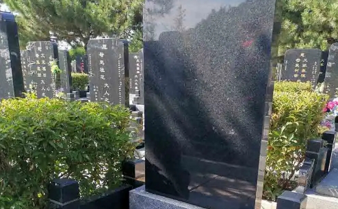 1658049467611051.png 下载 (7).png