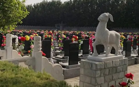 1658112462514100.png 下载 (1).png
