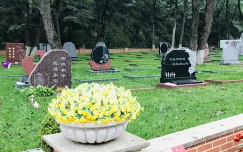 1658112534758779.png 下载 (3).png