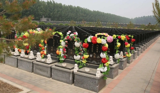 1658112753689240.png 下载 (8).png