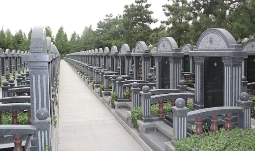 1658544898705850.png 下载 (5).png