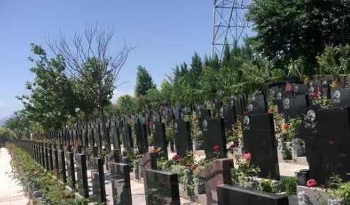 1659411532477953.png 下载 (8).png