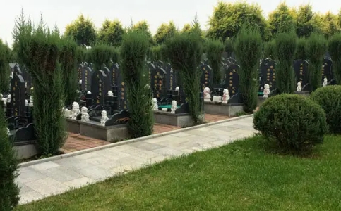1659580985123634.png 下载 (8).png