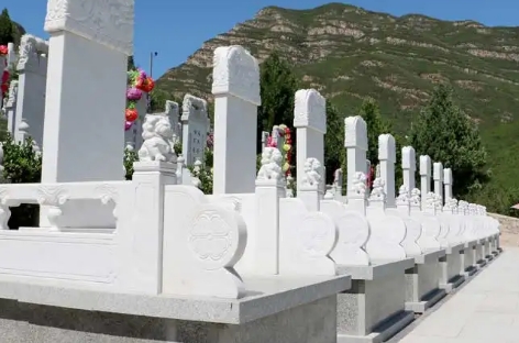 1659755681130085.png 下载 (5).png