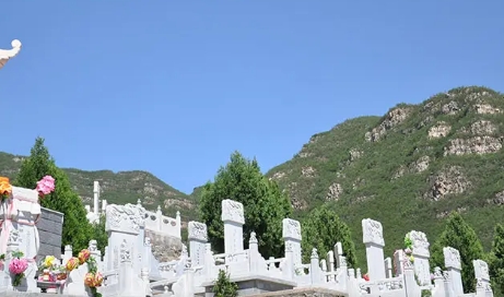 1659755768515951.png 下载 (8).png