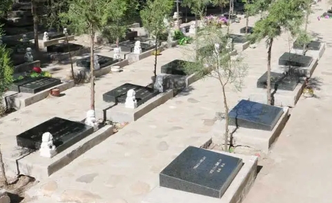 1659755834721729.png 下载 (9).png