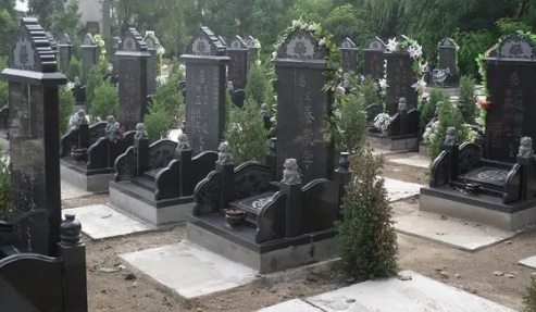 1659855030910337.png 下载 (1).png