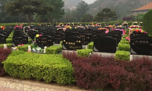 1660276029103603.png 下载 (3).png