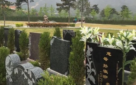 1660276052762135.png 下载 (4).png