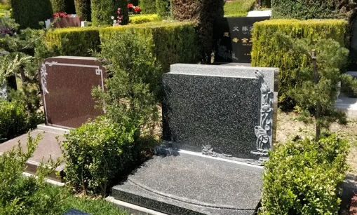 1660534357524901.png 下载 (1).png
