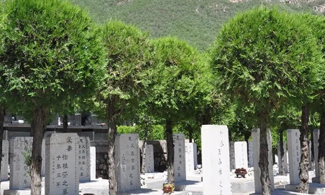 1660534785719147.png 下载 (7).png