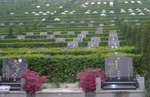 1660802298921826.png 下载 (1).png